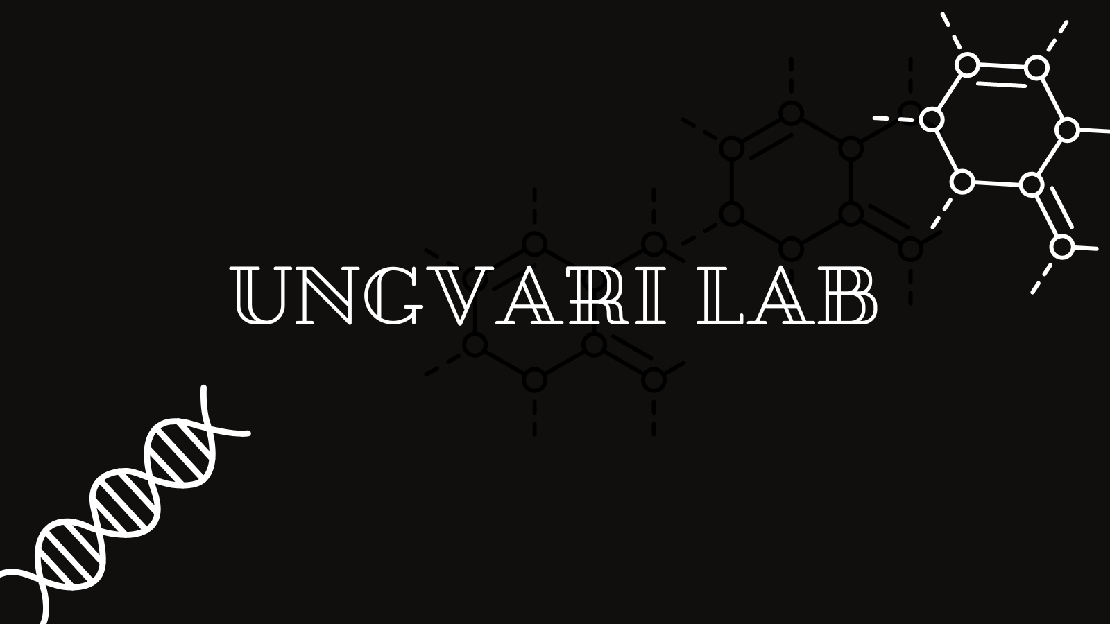 Ungvari Lab638176263745998601